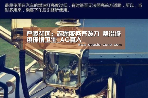 严陵社区：志愿服务齐发力 整治城镇环境卫生_AG真人(图2)