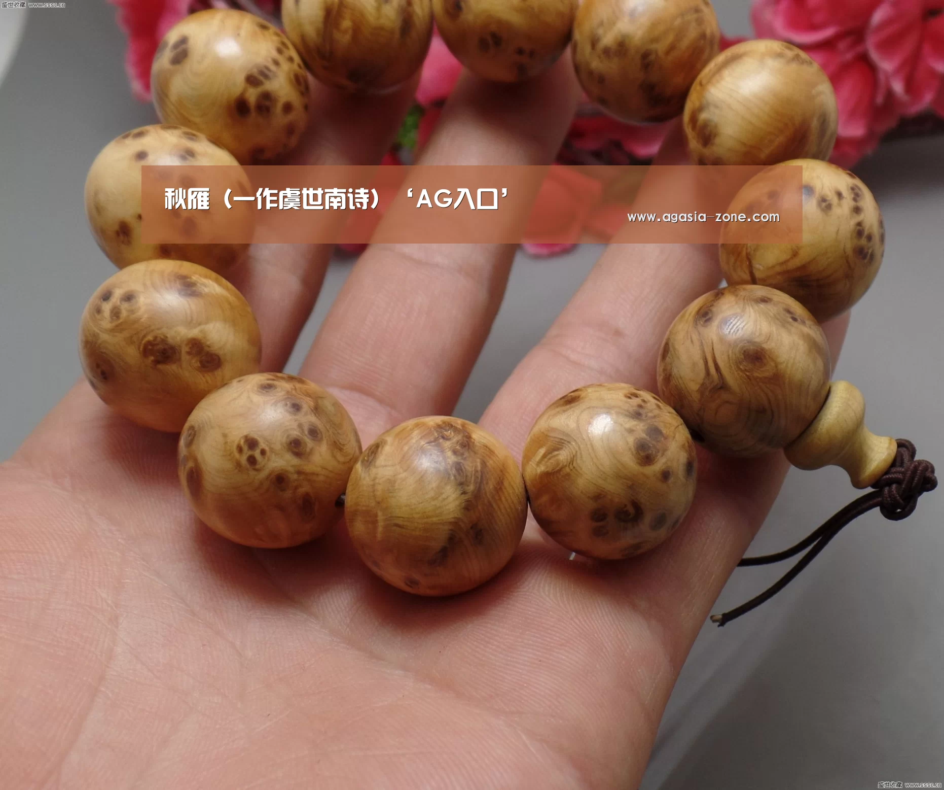 AG地址
